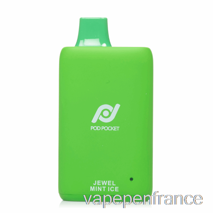 Pod Pocket 7500 Stylo Jetable à Glace à La Menthe